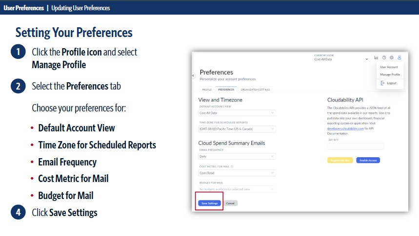 Setting Your Preferences: step by step with Cloudability UI screenshot
