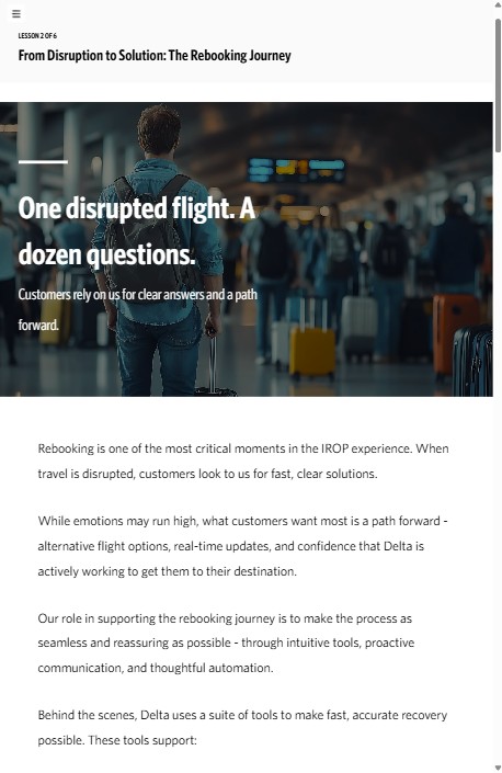 Lesson 2 overview: One disrupted flight. A dozen questions.